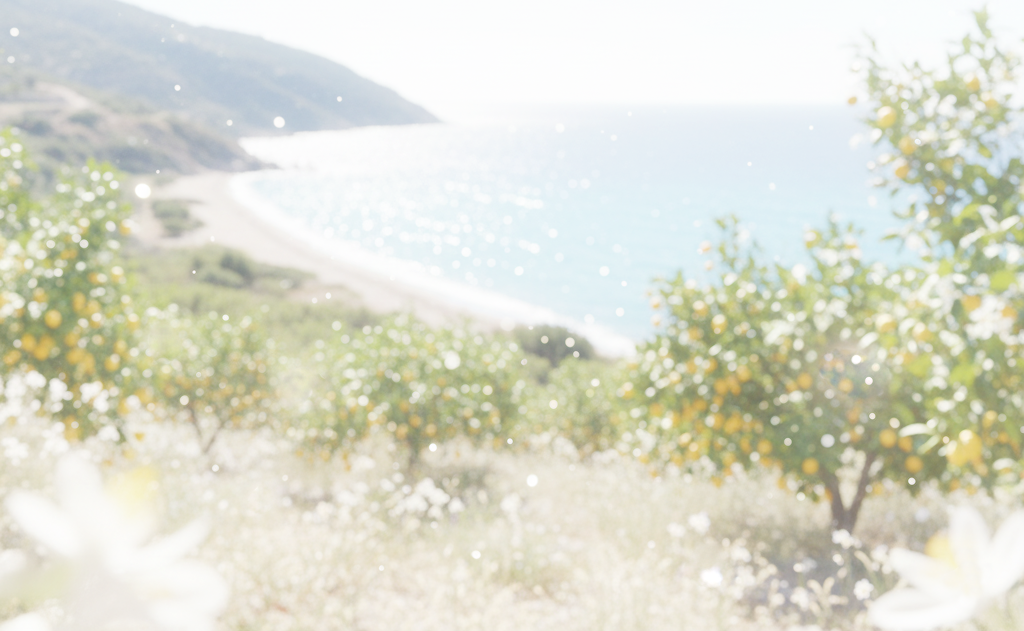 Limon_Aria_2_826e8c8f-bbff-4c42-ae59-8c2709a89d26.png